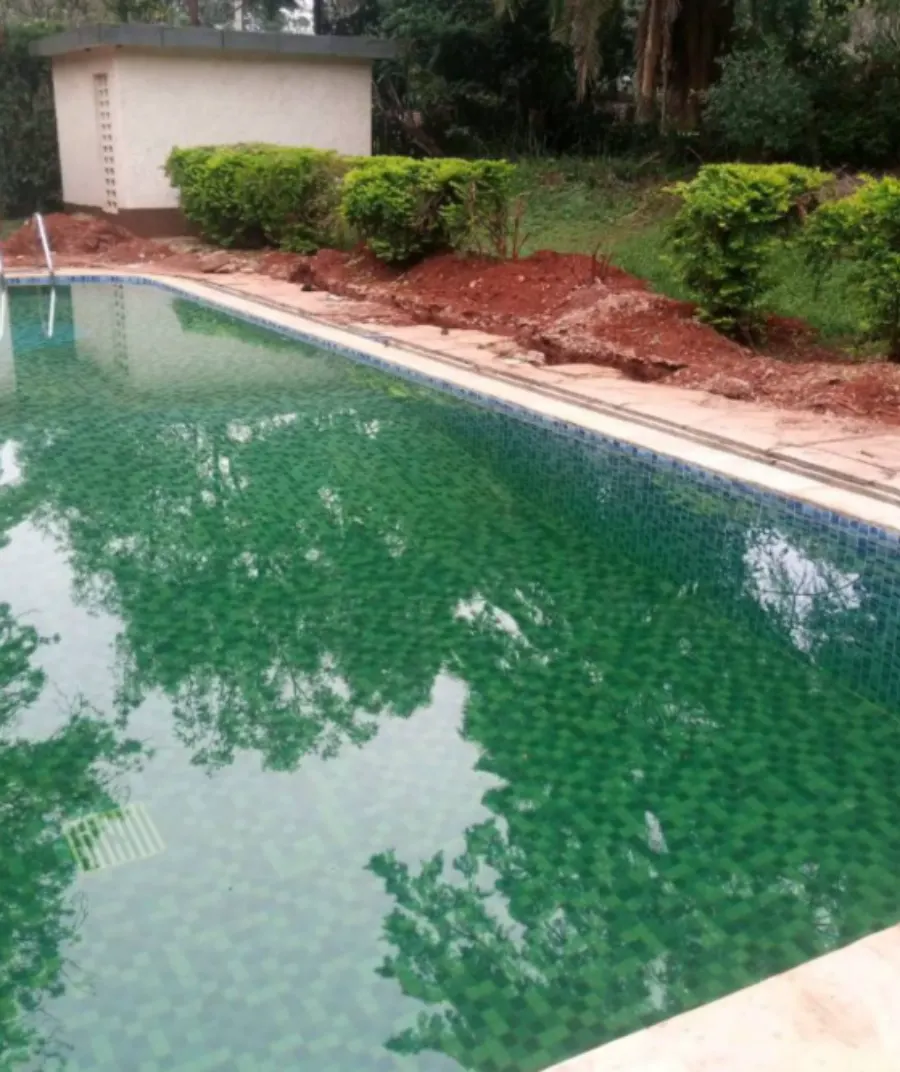 Swimming Pools, Septic Tanks & Boreholes - Image 3