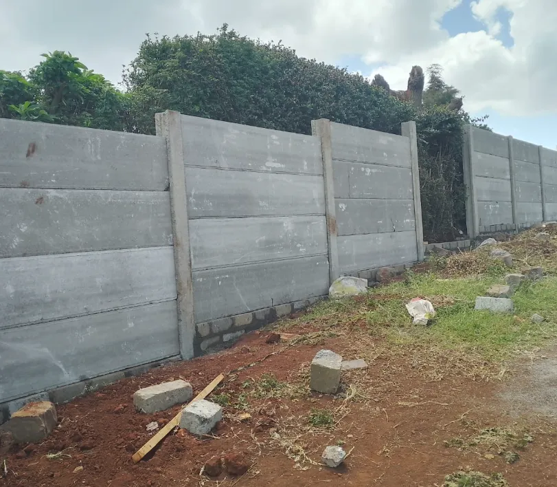 Wall Panel Construction gallery image 4